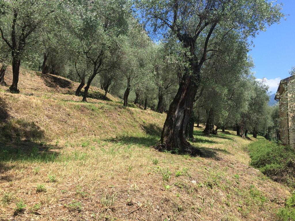 Hotel Locanda Ruscello Garni