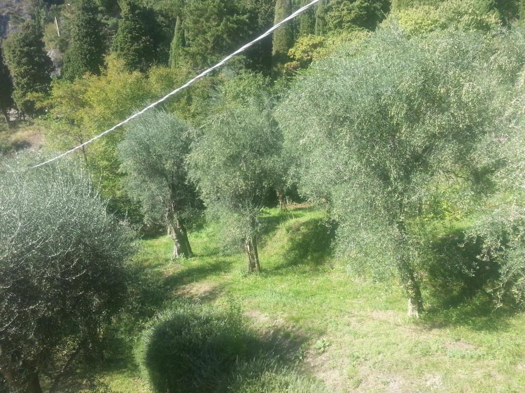Hotel Locanda Ruscello Garni 3*
